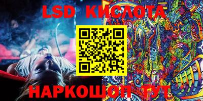 прущие грибы Обнинск