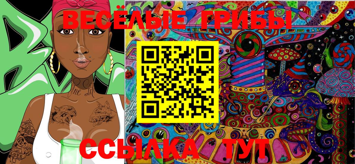 Псилоцибиновые грибы Cubensis Октябрьский